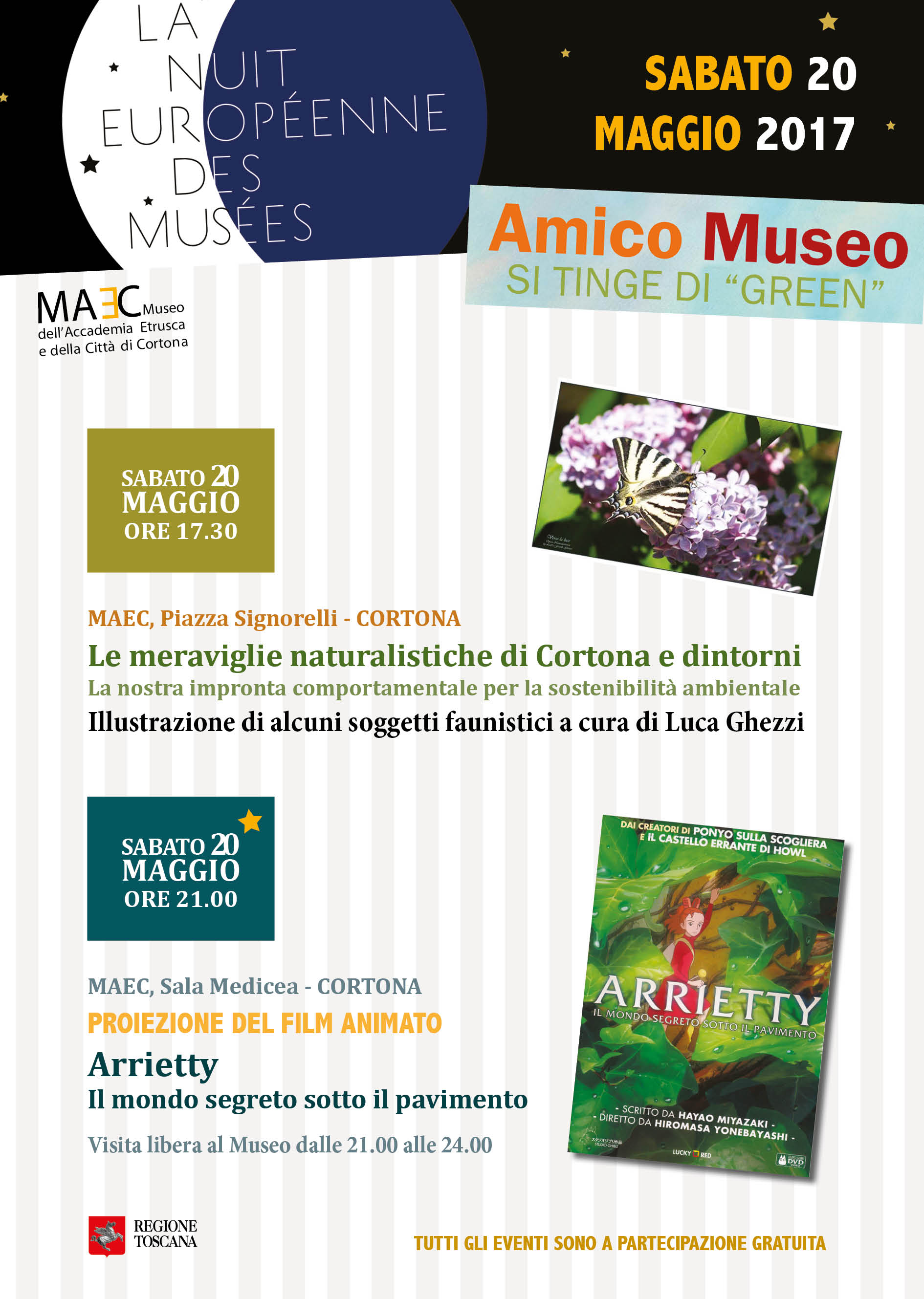 Accademia Etrusca di Cortona | Amico museo 2017